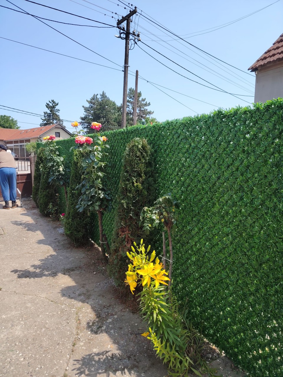 Ograde i kapije u Beogradu