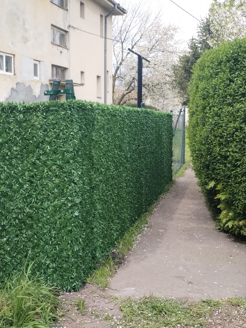 Ograde i kapije u Starčevu
